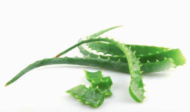 Aloe Vera Beyaz Arkaplanda