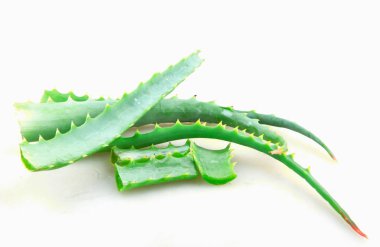 Aloe Vera Beyaz Arkaplanda