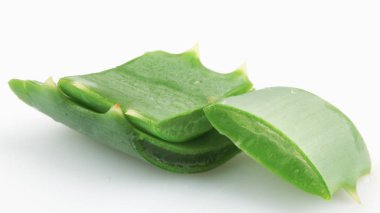 Aloe Vera Beyaz Arkaplanda