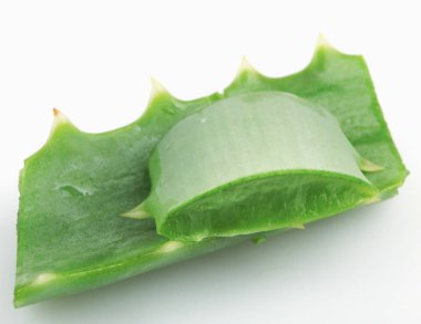 Aloe Vera Beyaz Arkaplanda