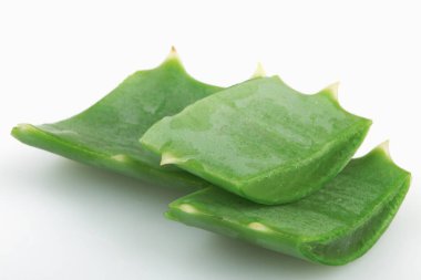 Aloe Vera Beyaz Arkaplanda