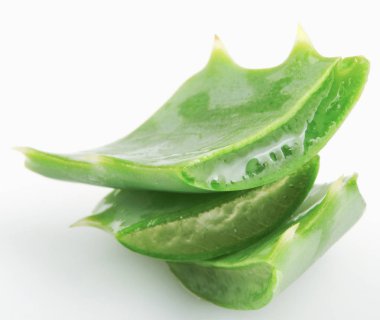 Aloe Vera Beyaz Arkaplanda