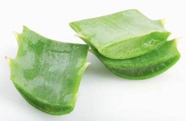 Aloe Vera Beyaz Arkaplanda
