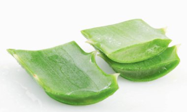 Aloe Vera Beyaz Arkaplanda