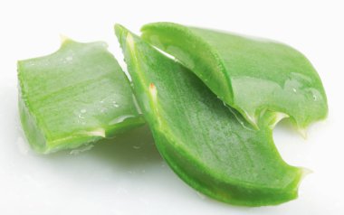 Aloe Vera Beyaz Arkaplanda