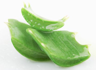 Aloe Vera Beyaz Arkaplanda