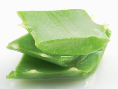 Aloe Vera Beyaz Arkaplanda