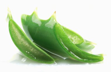 Aloe Vera Beyaz Arkaplanda