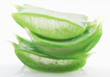 Aloe Vera Beyaz Arkaplanda
