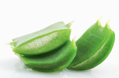 Aloe Vera Beyaz Arkaplanda