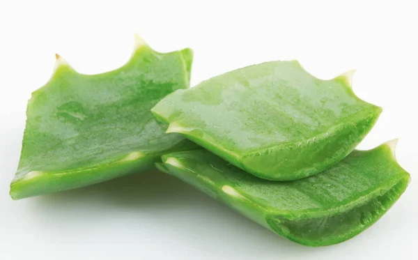 Aloe Vera Auf Weißem Hintergrund — Stockfoto