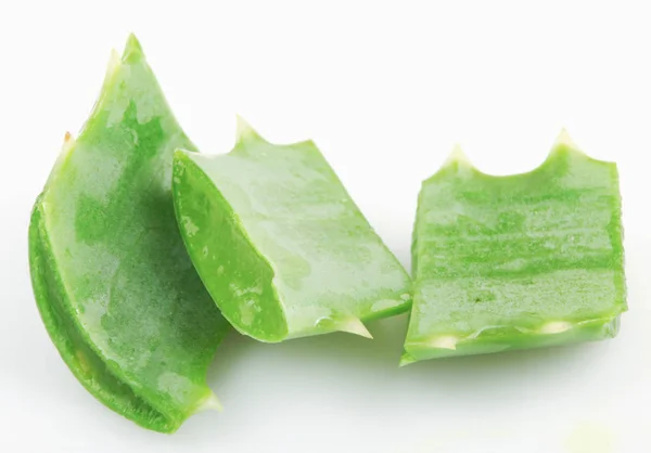 Aloe Vera Auf Weißem Hintergrund — Stockfoto