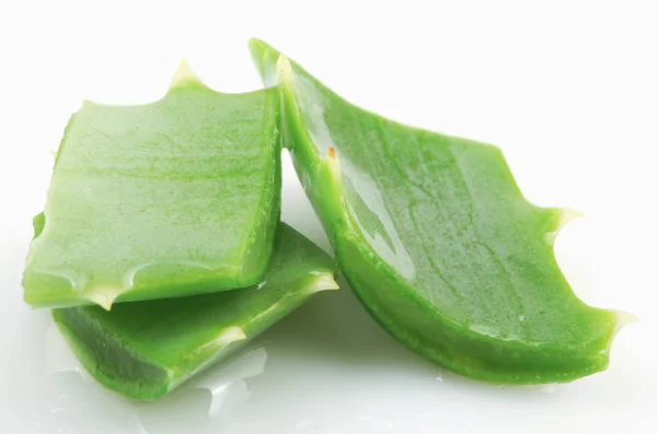 Aloe Vera Beyaz Arkaplanda — Stok fotoğraf