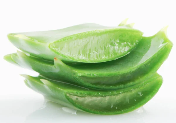 Aloe Vera Auf Weißem Hintergrund — Stockfoto