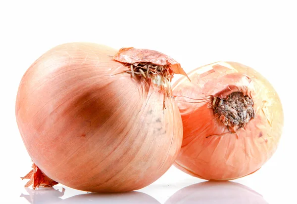 Fresh Onion Bulbs Isolated White Background — Stock Photo, Image