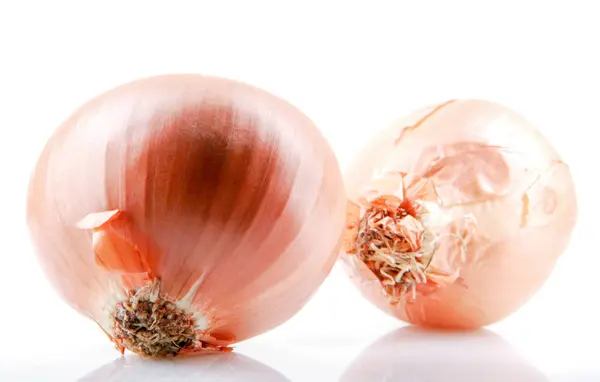 Fresh Onion Bulbs Isolated White Background — Stock Photo, Image
