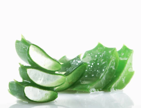 Aloe Vera Latar Belakang Putih — Stok Foto