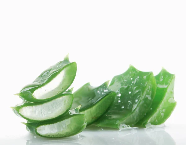 Aloe Vera White Background — Stock Photo, Image