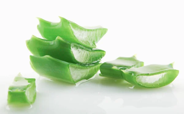 Aloe Vera Latar Belakang Putih — Stok Foto