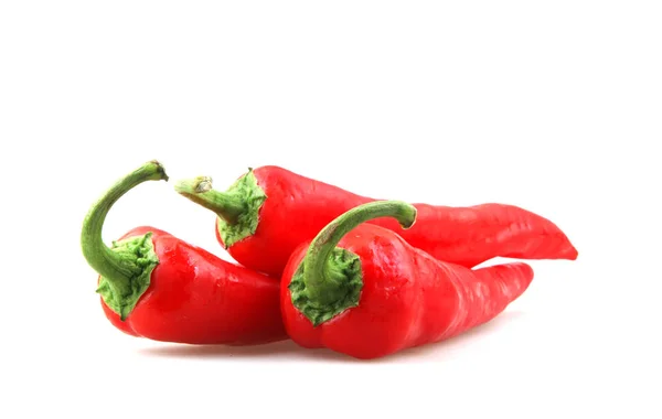 Fotos Red Chili Pepper Stock — Fotografia de Stock