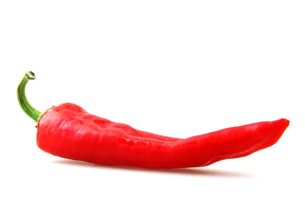 Rode Chilipeper Stock Photos — Stockfoto