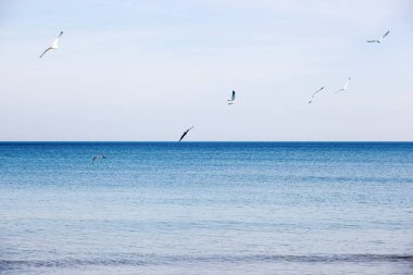 Ahyolu, Bulgaristan - 02 Mart 2019: Bahar yürüyüşte şehrin merkezi bölümü üzerinden.