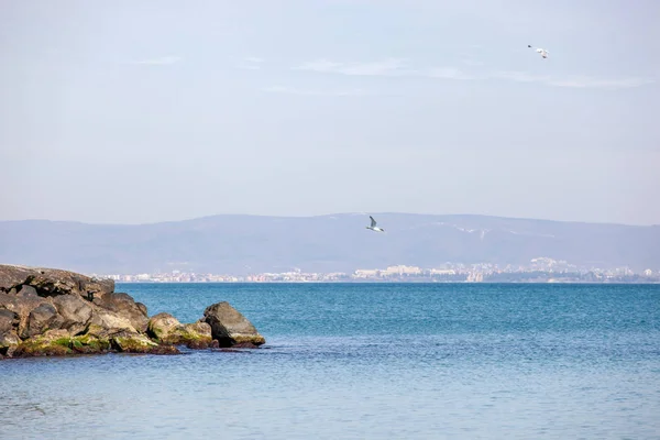 Pomorie Bulgária Március 2019 Tavaszi Séta Város Központi Részén — Stock Fotó