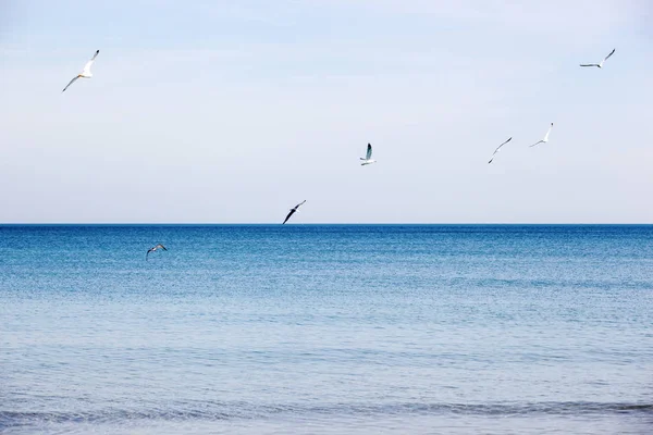 Pomorie Bulgaria March 2019 Spring Walk Central Part City — Stock Photo, Image