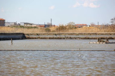 Güzel Pomorie Gölü görünümü