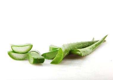Aloe Vera Beyaz Arkaplanda