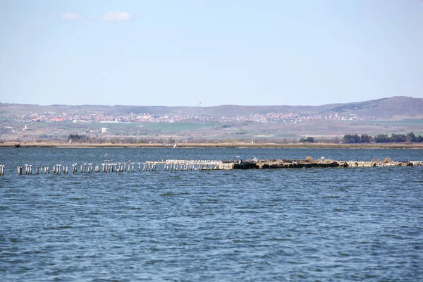 View Beautiful Pomorie Lake — Stock Photo, Image