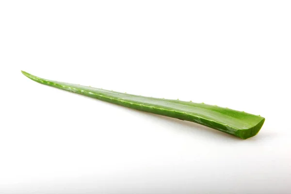 Aloes Białym Tle — Zdjęcie stockowe