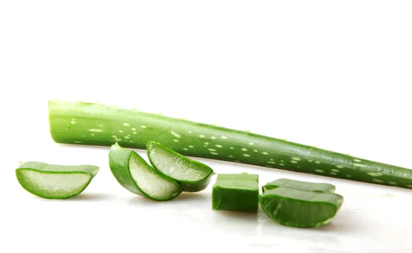 Aloe Vera Auf Weißem Hintergrund — Stockfoto