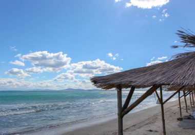 Sahil ve Deniz Parlak Günışığında