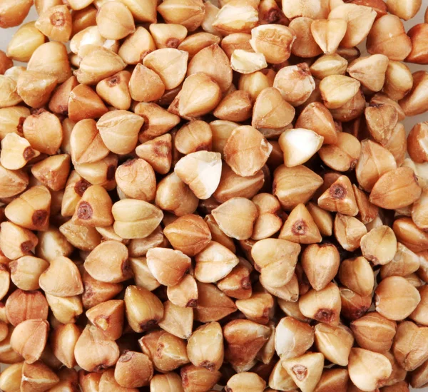 Buckwheat Fagopyrum Sculentum Plant Cultivated Its Grain Seeds Cover Crop — Stok Foto