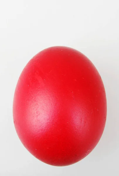 Red Easter Egg Isolated White — Stock Photo, Image