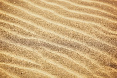 Kum Arkaplan Dokusunun Yakın Çekimi