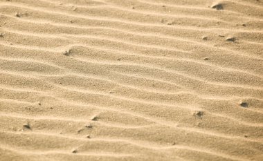 Kum Arkaplan Dokusunun Yakın Çekimi