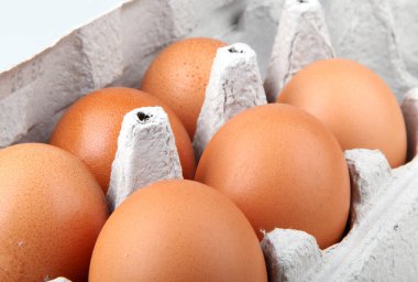 Karton kahverengi yumurta yakın çekim