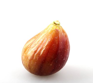 Beyaz Geçmişe Karşı İncir 'in Yakın Çekimi 