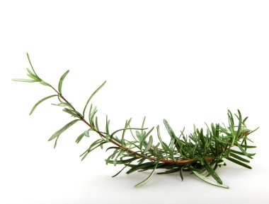 Beyaz arka planda taze biberiye bitkisi