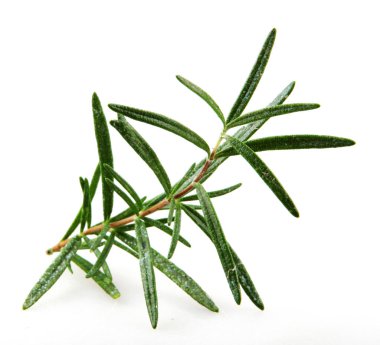 Beyaz arka planda taze biberiye bitkisi