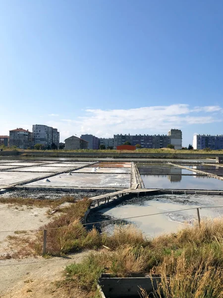 Pomorie Bulgária Setembro 2019 Lake Pomorie Mais Setentrional Dos Lagos — Fotografia de Stock