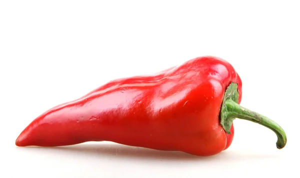 Paprika isolado em branco — Fotografia de Stock