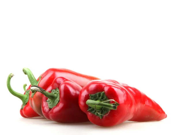 Paprika Isolata su Bianco — Foto Stock