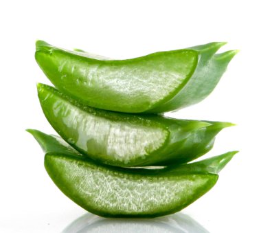aloe vera bitkisi beyaz üzerine izole.
