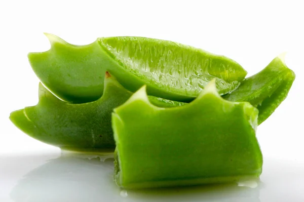 Aloe Vera — Stock Photo, Image