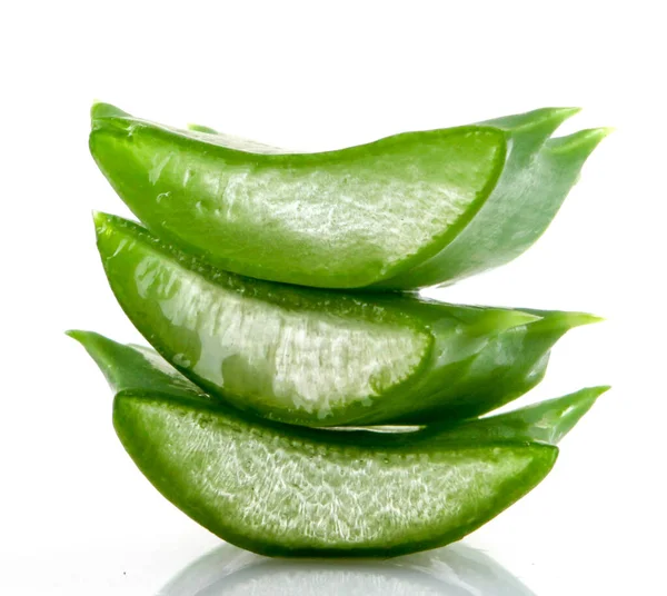 Aloe vera bitkisi beyaz üzerine izole. — Stok fotoğraf