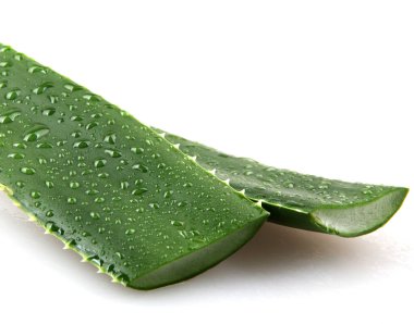 Aloe Vera Beyaz Arkaplanda