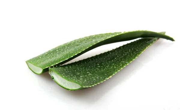 Aloe Vera Beyaz Arkaplanda — Stok fotoğraf